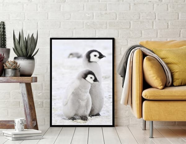 POSTER I RAM 43x33 cm Pingviner P688