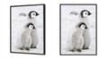 Miniatyrbild 2 av 4: POSTER I RAM 43x33 cm Pingviner P688