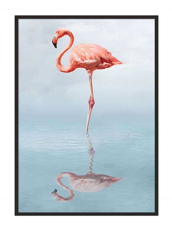 KUVAPUOLISTE KEHYISSÄ 43x33 cm Flamingo P687