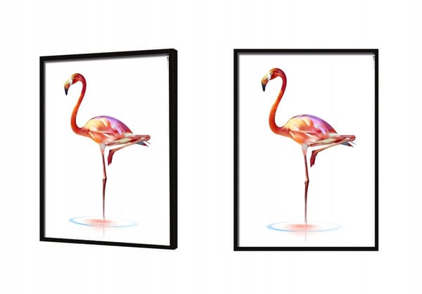 KUVAPUOLISTE KEHYISSÄ 53x73 cm Flamingo P557