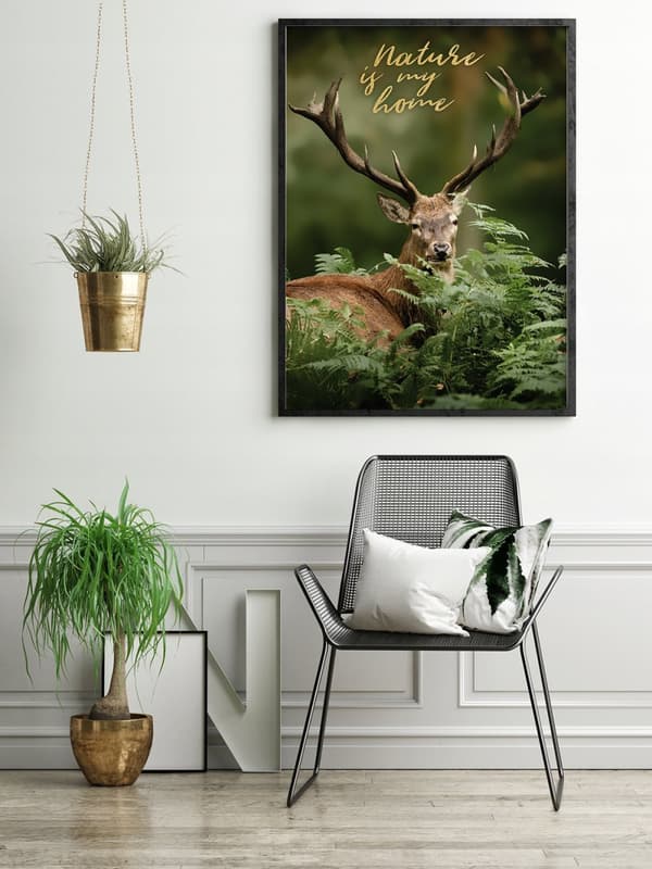 TAVELAFFIST I RAM 53x73 cm Hjort 1 P598