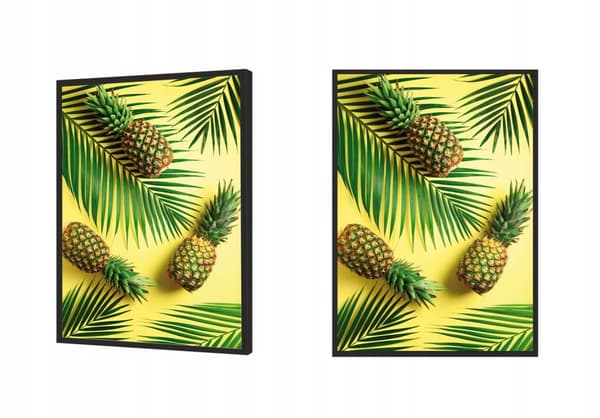 KUVAPOSTERI KEHYISSÄ 53x73 cm Ananas 2 P604