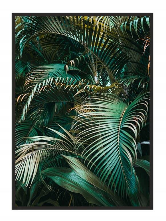 KUVAPOSTERI KEHYISSÄ 53x73 cm Lehdet P644