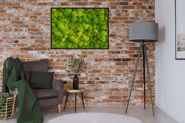 BILLEDPOKATER I RAMME 53x73 cm Lav Mos P676