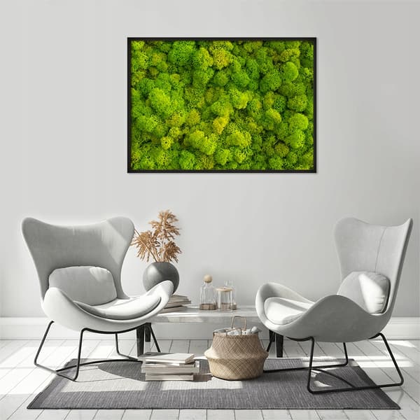 BILLEDPOKATER I RAMME 53x73 cm Lav Mos P676
