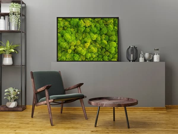 BILLEDPOKATER I RAMME 53x73 cm Lav Mos P676