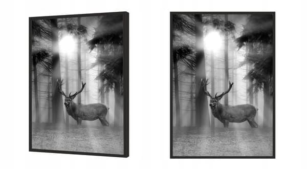 TAVELAFFIST I RAM 33x43 cm Hjort P660