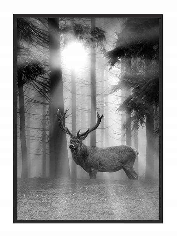 TAVELAFFIST I RAM 33x43 cm Hjort P660