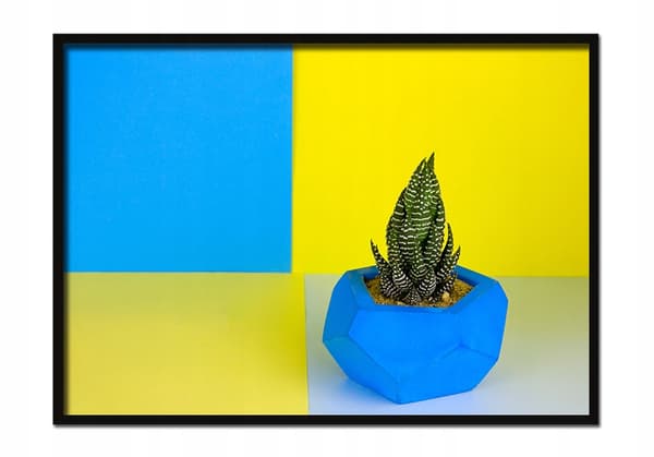 KUVAPOSTERI KEHYISSÄ 43x33 cm Kasvi 1 P614