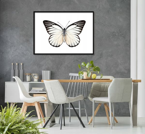 KUVAPUOLISTE KEHYISSÄ 53x73 cm Butterfly P511 vaakasuora