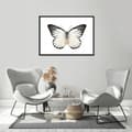 Pikkukuva 2 / 3: KUVAPUOLISTE KEHYISSÄ 53x73 cm Butterfly P511 vaakasuora