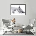 Miniatyrbillede 3 af 3: BILLEDE, POSTAKER I RAMME 53x73 cm Kat P502 vandret