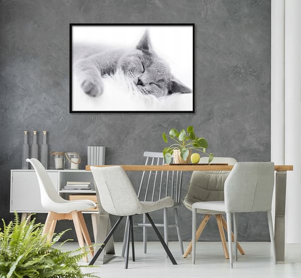BILLEDE, POSTAKER I RAMME 53x73 cm Kat P502 vandret