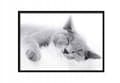 Miniatyrbillede 1 af 3: BILLEDE, POSTAKER I RAMME 53x73 cm Kat P502 vandret