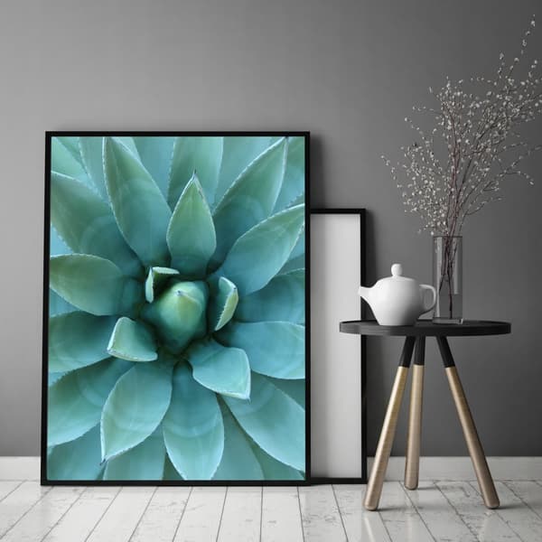 TAVELT, POSTER I RAM 73x53 cm Aloes P512