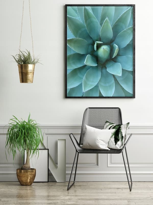 TAVELT, POSTER I RAM 73x53 cm Aloes P512