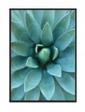 Miniatyrbild 1 av 4: TAVELT, POSTER I RAM 73x53 cm Aloes P512