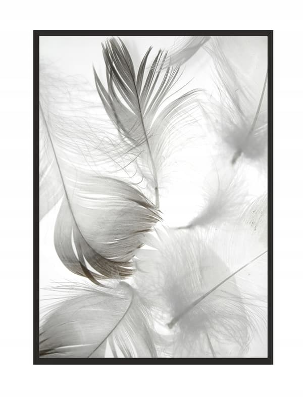 TAVELT, POSTER I RAM 73x53 cm Maskros P504