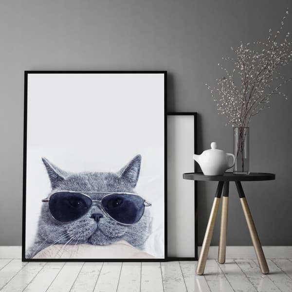 KUVA, JULISTEET KEHYISSÄ 73x53 cm Kissa P503