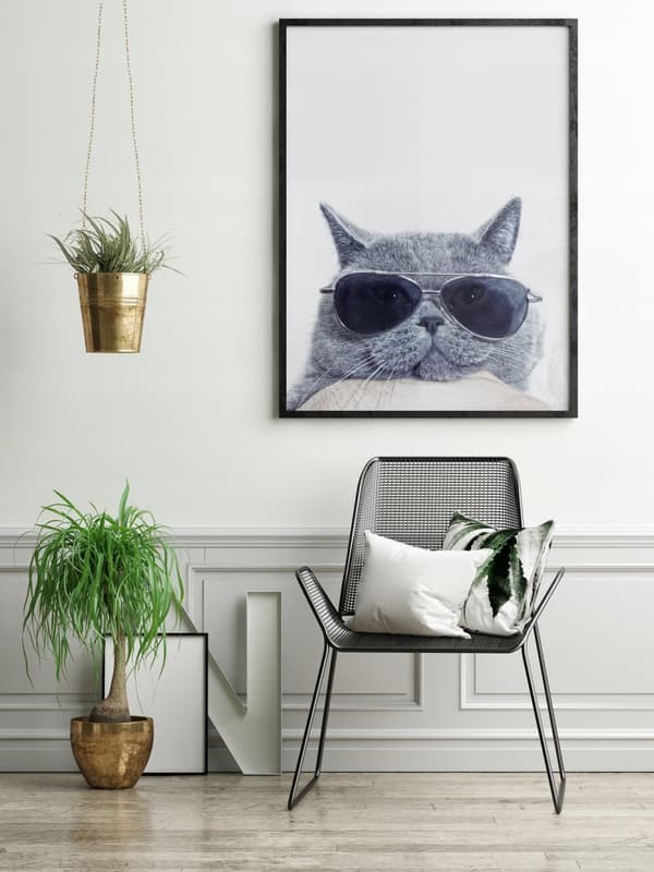 KUVA, JULISTEET KEHYISSÄ 73x53 cm Kissa P503