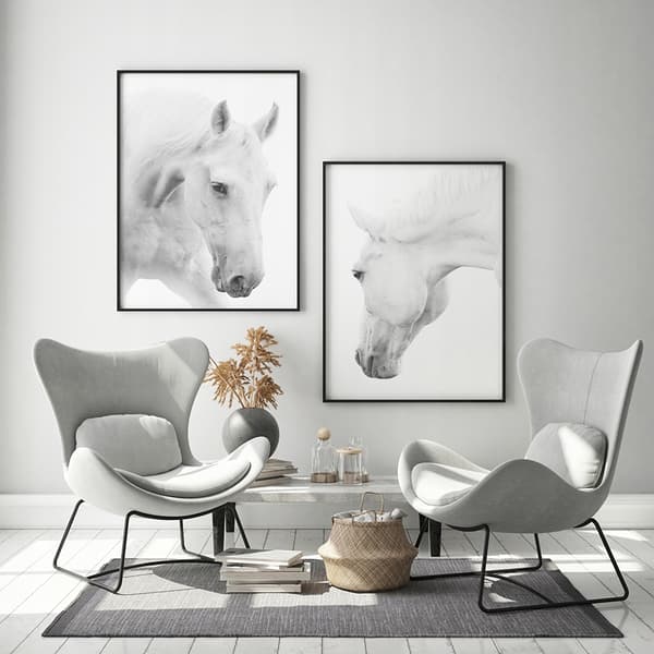KUVA, JULISTEE KEHYISSÄ 73x53 cm Hevonen P501