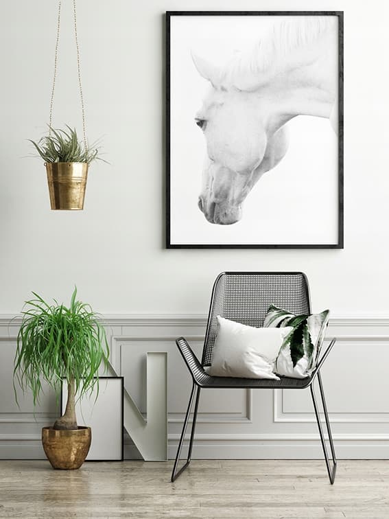 KUVA, JULISTEE KEHYISSÄ 73x53 cm Hevonen P501