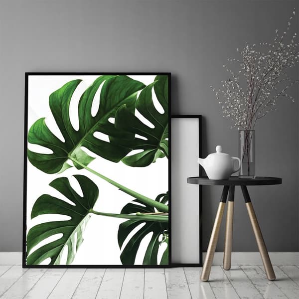 KUVA, JULISTEE KEHYISSÄ 33x43 cm Monstera P546