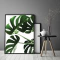Pikkukuva 3 / 4: KUVA, JULISTEE KEHYISSÄ 33x43 cm Monstera P546