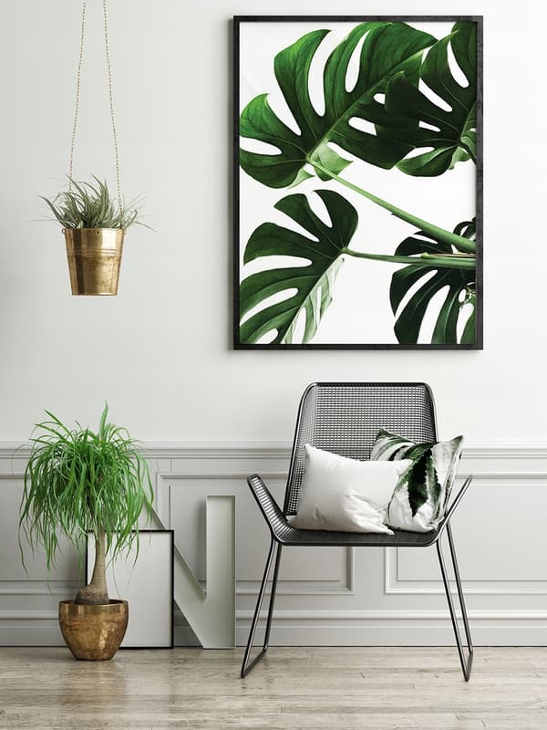 KUVA, JULISTEE KEHYISSÄ 33x43 cm Monstera P546