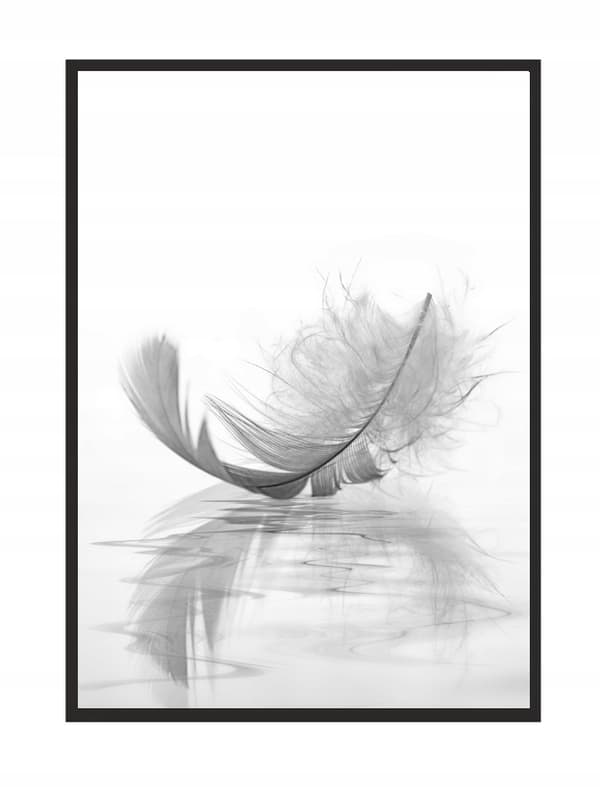TAVELT, POSTER I RAM 33x43 cm Fjäder P520