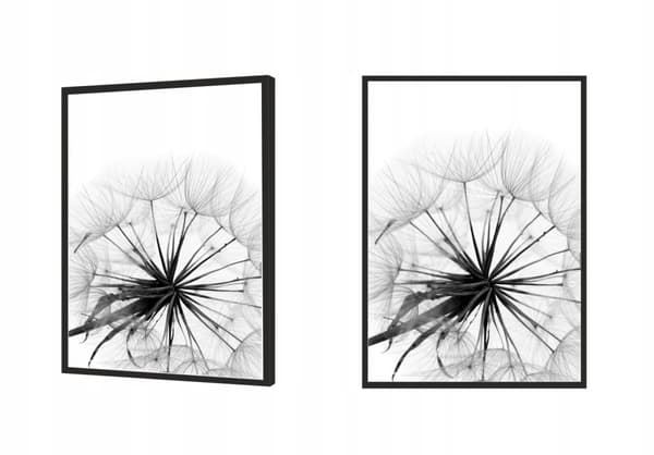 TAVELT, POSTER I RAM 33x43 cm Maskros P505