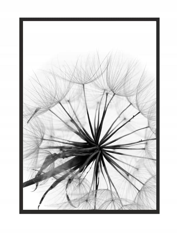 TAVELT, POSTER I RAM 33x43 cm Maskros P505