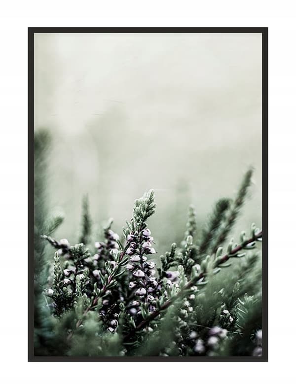 TAVELAFFIST I RAM 53x73 cm Äng P1773
