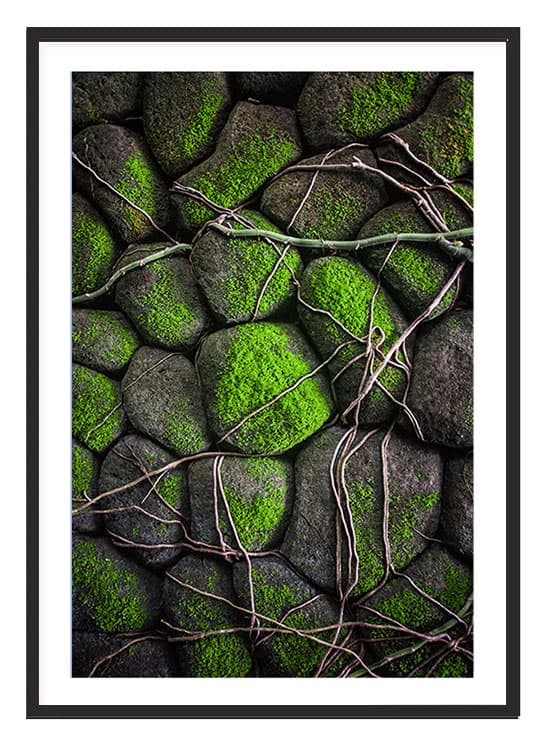 TAVELAFFIST I RAM 53x73 cm Boho P2221