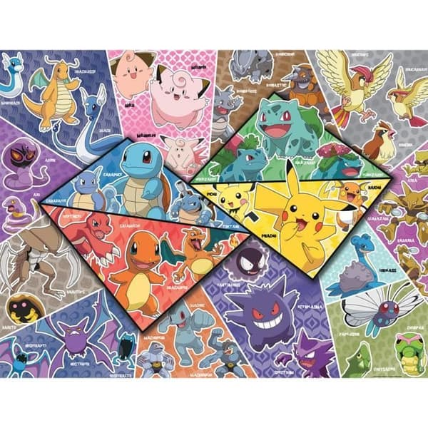 Nathan-POKEMON-Pussel 2000 bitar - De 16 typerna av Pokémon-4005556873142-Från 14 år