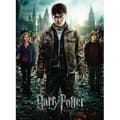 Miniatyrbillede 2 af 2: 300-brikkers XXL-puslespil - Harry Potter og Dødsregalierne II