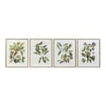 Miniatyrbild 1 av 3: Tavla DKD Home Decor Bird 55 x 2,5 x 70 cm Tropiskt Fåglar (4 Delar)