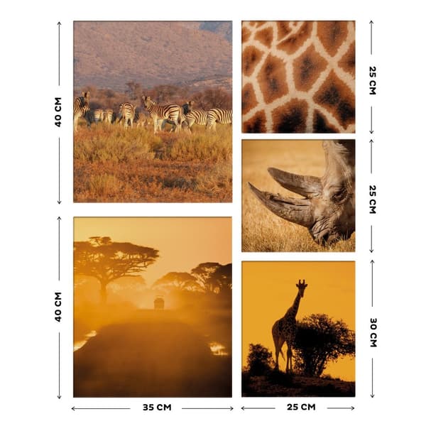 Lærredssæt med 5, Safari