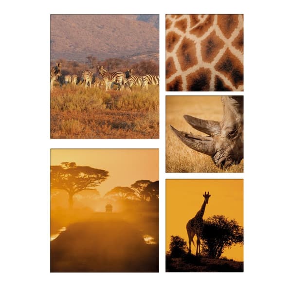 Lærredssæt med 5, Safari