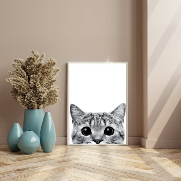 Katt Svartvit Affisch – Poster – Stilren Djurkonst