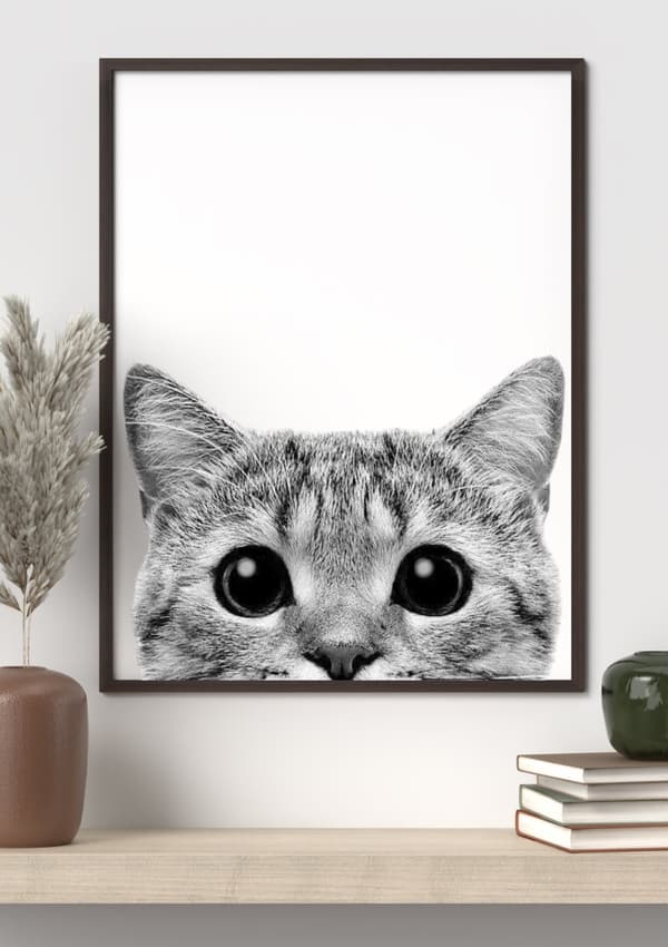 Katt Svartvit Affisch – Poster – Stilren Djurkonst