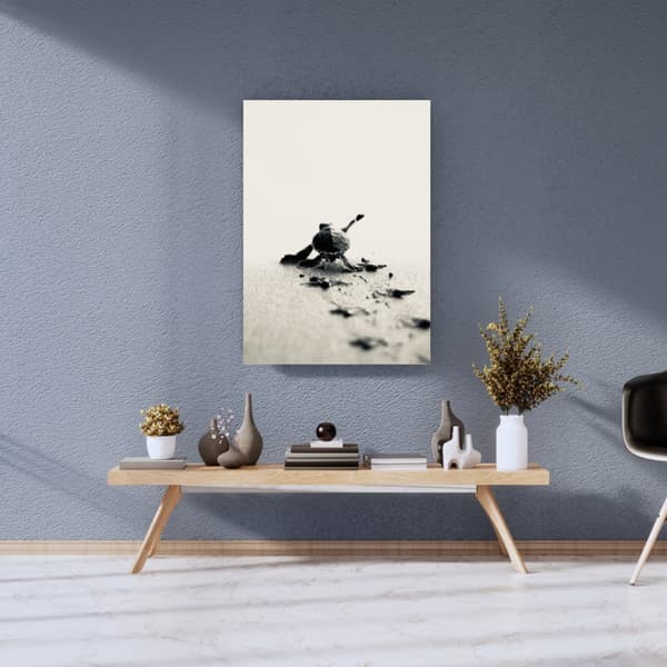 Sköldpadda Poster – Havsinspirerad Naturaffisch – 30×40 & 50×70 cm