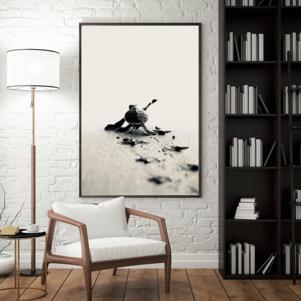 Sköldpadda Poster – Havsinspirerad Naturaffisch – 30×40 & 50×70 cm