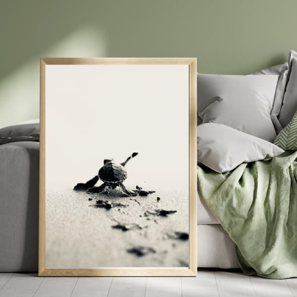 Sköldpadda Poster – Havsinspirerad Naturaffisch – 30×40 & 50×70 cm
