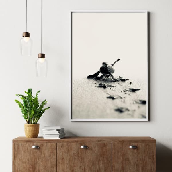 Sköldpadda Poster – Havsinspirerad Naturaffisch – 30×40 & 50×70 cm
