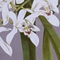 Miniatyrbild 3 av 3: Tavla DKD Home Decor Gran Glas 50 x 60 x 2,8 cm 50 x 2,8 x 60 cm Virágok (6 Delar)