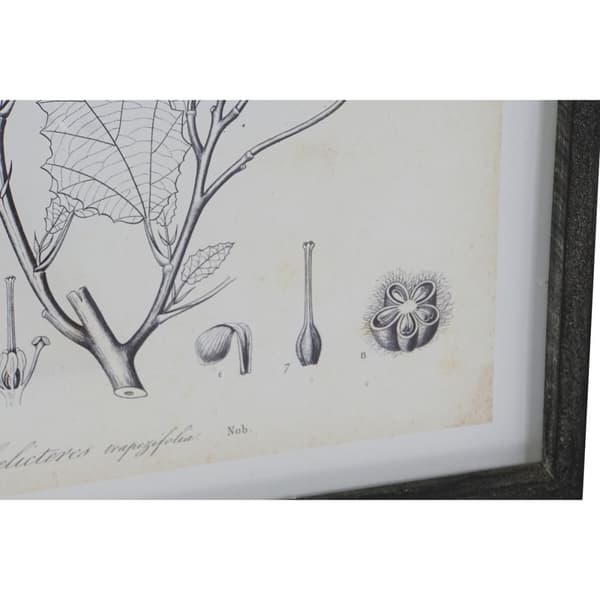 Tavla DKD Home Decor Modern Botaniska växter 45 x 2,5 x 60 cm (4 antal)