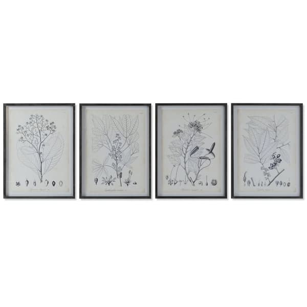 Tavla DKD Home Decor Modern Botaniska växter 45 x 2,5 x 60 cm (4 antal)