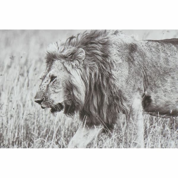 Maleri DKD Home Decor 92,5 x 3,5 x 32 cm Kolonistil Jungle (3 Dele)