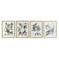 Miniatyrbillede 1 af 3: Maleri DKD Home Decor 50 x 2,5 x 65 cm Shabby Chic Botaniske planter (4 Dele)